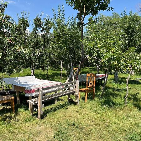 Tamchy "Bilim" Guest House מראה חיצוני תמונה