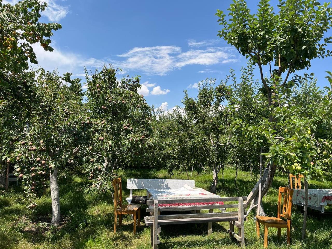 Tamchy "Bilim" Guest House מראה חיצוני תמונה