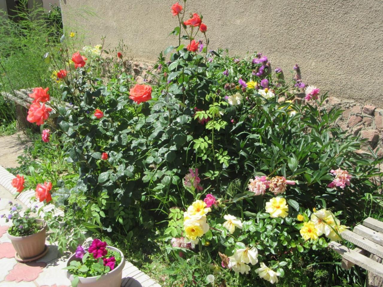Tamchy "Bilim" Guest House מראה חיצוני תמונה